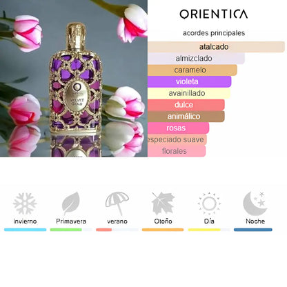 Kit 4 Perfumes Coco Mademoiselle, Velvelt Gold, Amethyste, 212 Vip Rose
